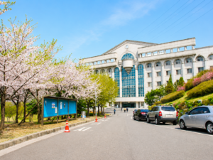 Mùa hoa anh đào Trường Đại học Shin Ansan