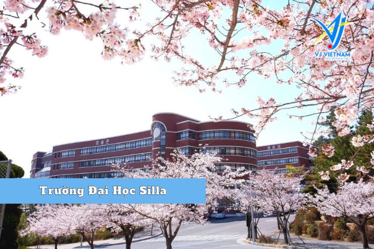 Trường đại học Silla